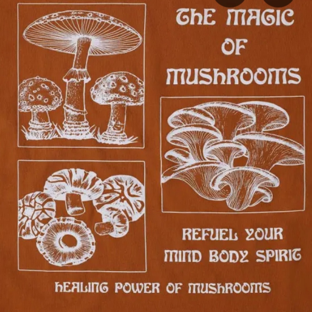 NWT Magic of Mushrooms Tshirt 🍄 Mind Body Spirit XL Healing Power Plants Fungí